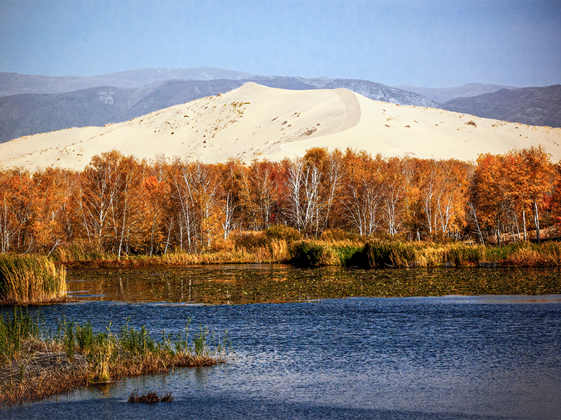 为什么水质COD检测水样需要消解