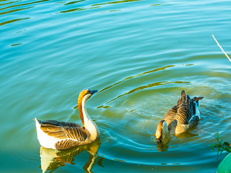 COD测定仪具体使用步骤