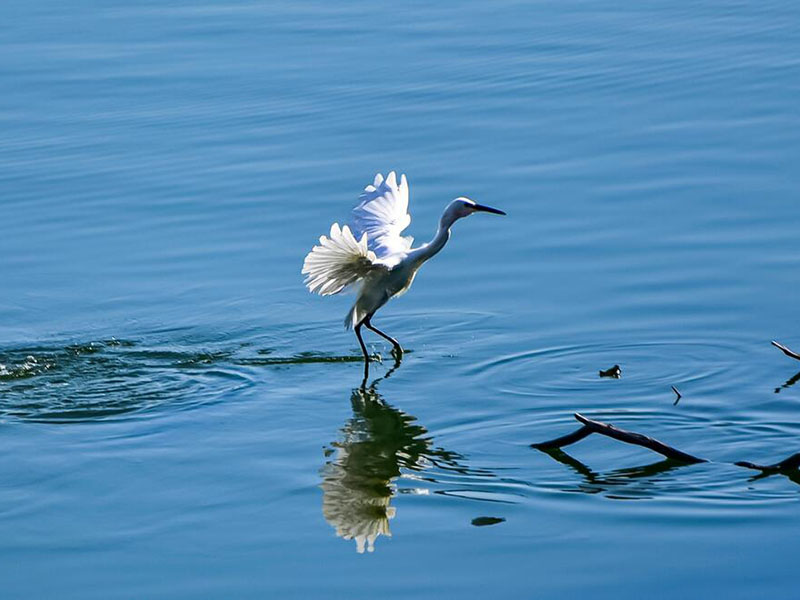 如何选择合适的水产养殖水质检测仪