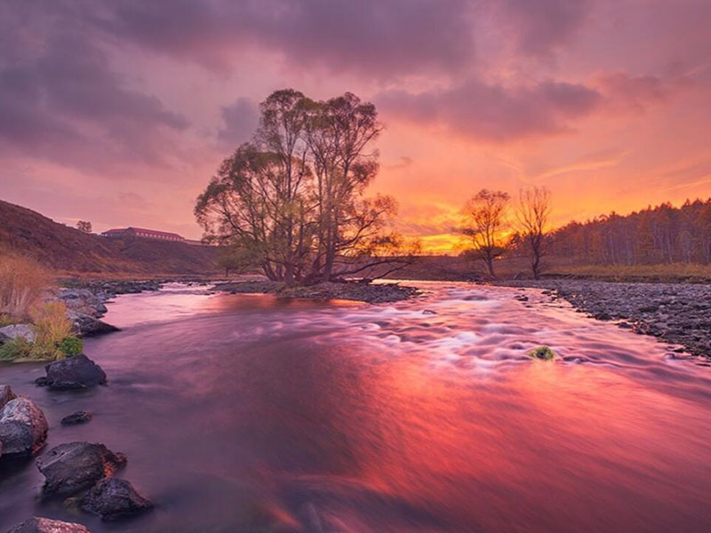 溶解氧在线分析仪原理