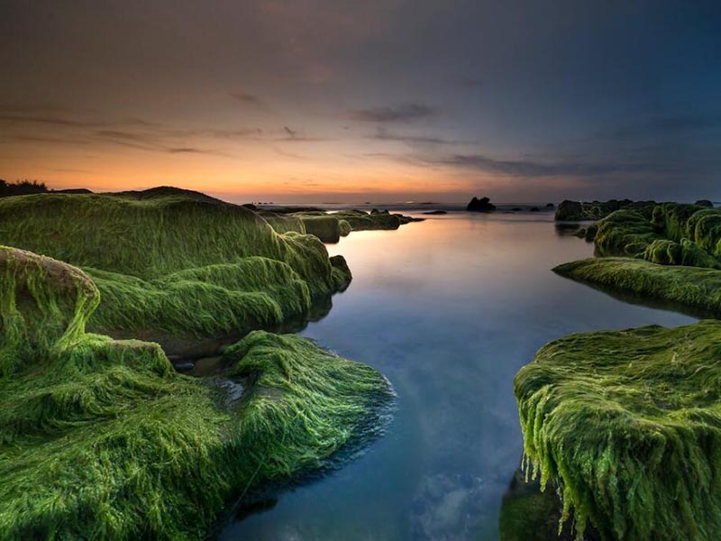 氨氮在线监测仪数据偏低的原因