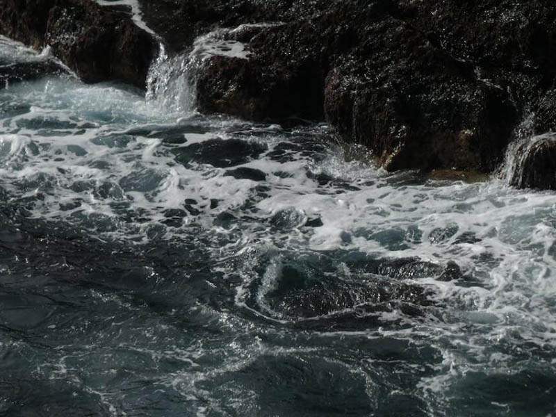 汛期水体浊度高对供水厂的影响