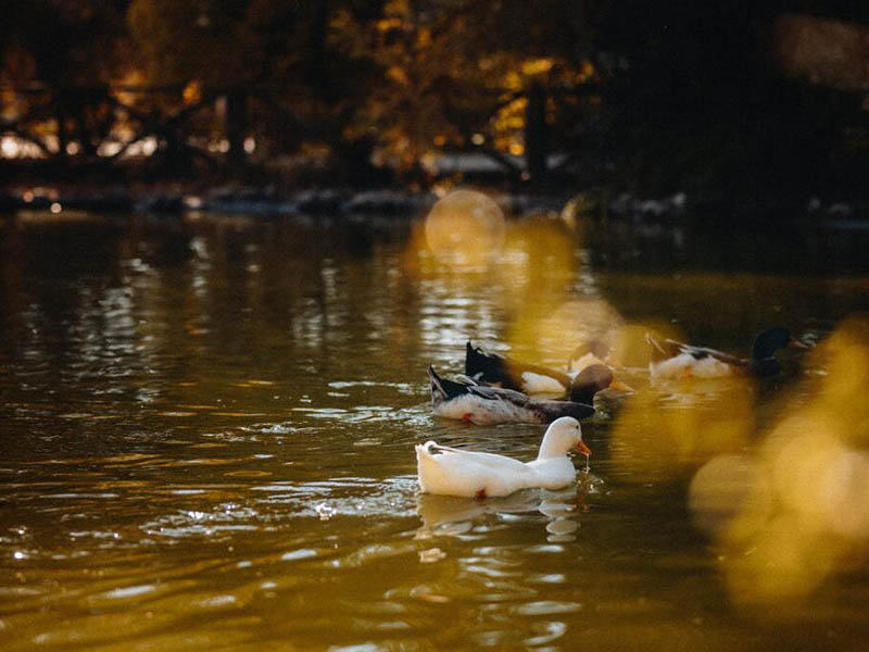 COD在线分析仪常见使用问题