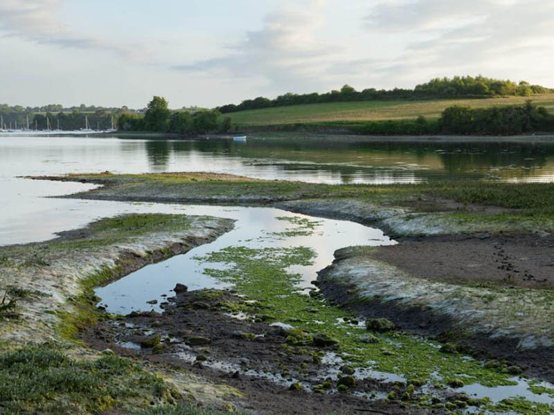 标准曲线是什么