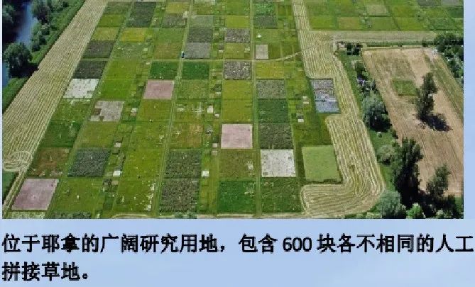 PR2土壤剖面水分探头，用于多次生物多样性生态系统功能研究实验